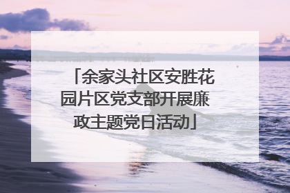 余家头社区安胜花园片区党支部开展廉政主题党日活动
