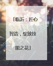 临沂：匠心智造，绽放技能之花