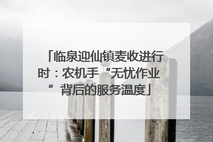临泉迎仙镇麦收进行时：农机手“无忧作业”背后的服务温度