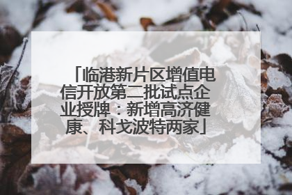 临港新片区增值电信开放第二批试点企业授牌：新增高济健康、科戈波特两家