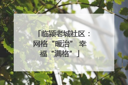 临颍老城社区：网格“暖治” 幸福“满格”