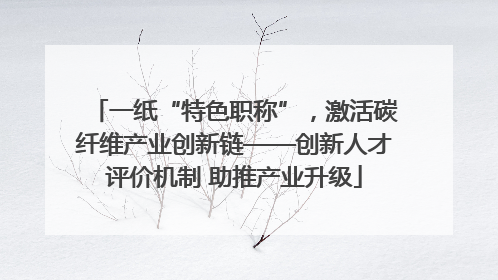 一纸“特色职称”，激活碳纤维产业创新链——创新人才评价机制 助推产业升级
