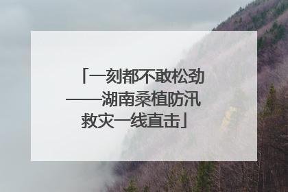 一刻都不敢松劲——湖南桑植防汛救灾一线直击