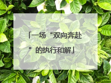 一场“双向奔赴”的执行和解
