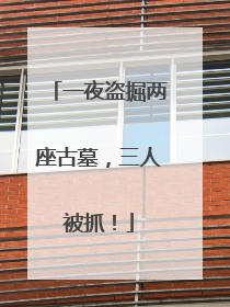 一夜盗掘两座古墓，三人被抓！
