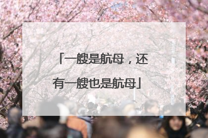 一艘是航母，还有一艘也是航母
