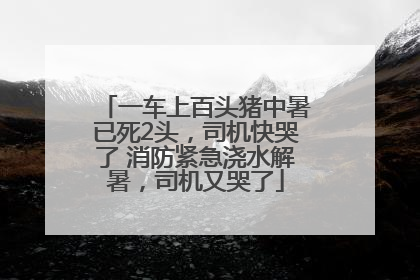 一车上百头猪中暑已死2头，司机快哭了 消防紧急浇水解暑，司机又哭了