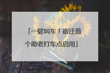 一键叫车！宿迁首个助老打车点启用