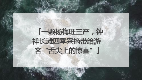 一颗杨梅旺三产，钟祥长滩四季采摘带给游客“舌尖上的惊喜”