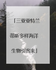 三亚亚特兰蒂斯多样海洋生物引客来
