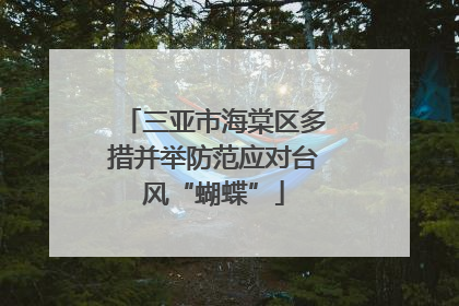 三亚市海棠区多措并举防范应对台风“蝴蝶”