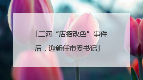 三河“店招改色”事件后，迎新任市委书记