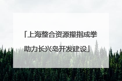 上海整合资源攥指成拳助力长兴岛开发建设
