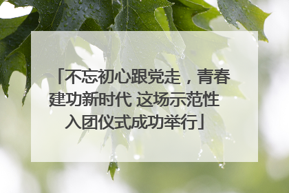 不忘初心跟党走，青春建功新时代 这场示范性入团仪式成功举行