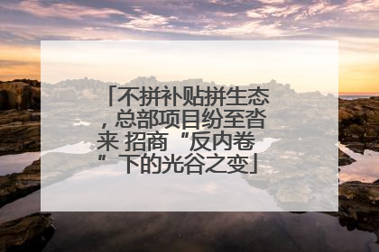 不拼补贴拼生态，总部项目纷至沓来 招商“反内卷”下的光谷之变