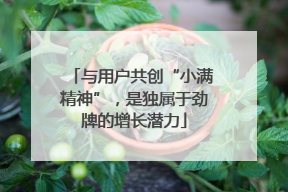 与用户共创“小满精神”，是独属于劲牌的增长潜力