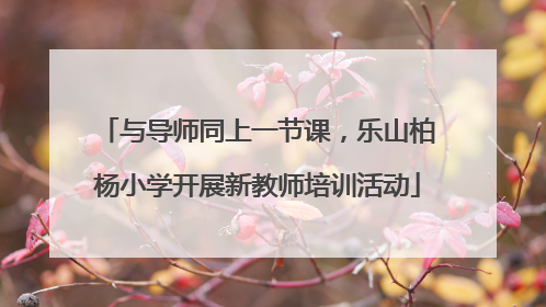 与导师同上一节课，乐山柏杨小学开展新教师培训活动