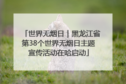 世界无烟日｜黑龙江省第38个世界无烟日主题宣传活动在哈启动