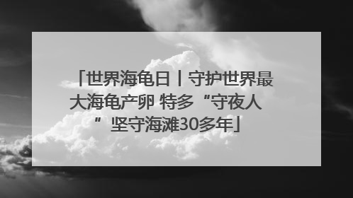 世界海龟日丨守护世界最大海龟产卵 特多“守夜人”坚守海滩30多年