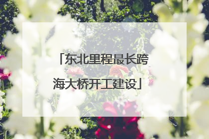 东北里程最长跨海大桥开工建设