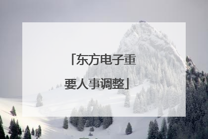 东方电子重要人事调整