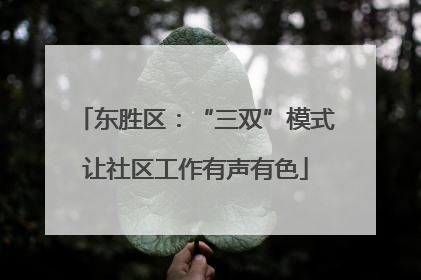 东胜区：“三双”模式让社区工作有声有色
