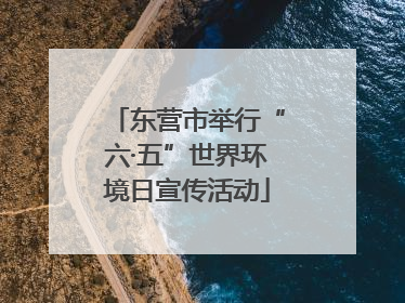 东营市举行“六·五”世界环境日宣传活动