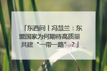 东西问丨冯慧兰：东盟国家为何期待高质量共建“一带一路”？