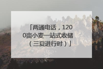 两通电话，1200亩小麦一站式收储（三夏进行时）