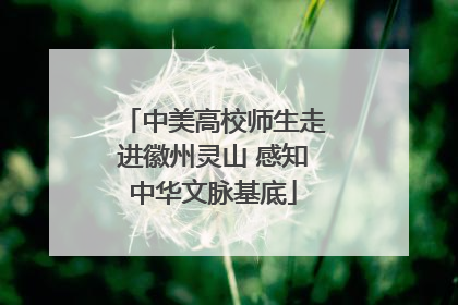中美高校师生走进徽州灵山 感知中华文脉基底
