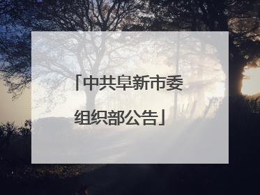中共阜新市委组织部公告