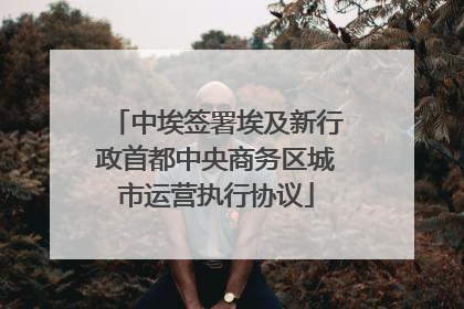 中埃签署埃及新行政首都中央商务区城市运营执行协议