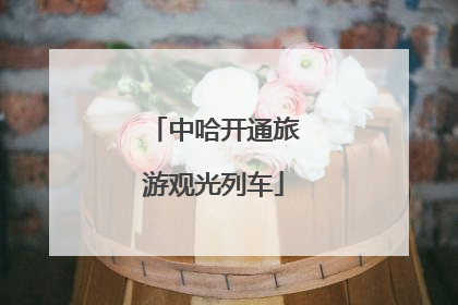 中哈开通旅游观光列车