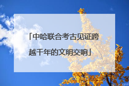 中哈联合考古见证跨越千年的文明交响