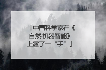 中国科学家在《自然·机器智能》上露了一“手”