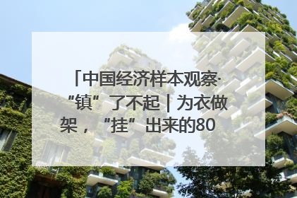 中国经济样本观察·“镇”了不起｜为衣做架，“挂”出来的80亿元“衣架产业”