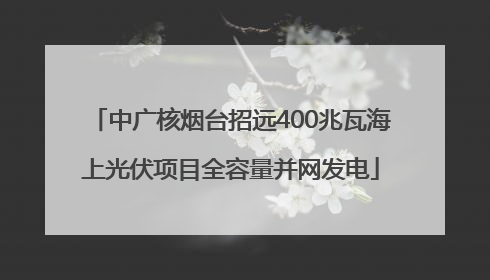 中广核烟台招远400兆瓦海上光伏项目全容量并网发电