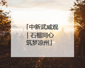 中新武威观｜石榴同心 筑梦凉州