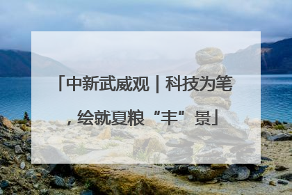 中新武威观｜科技为笔，绘就夏粮“丰”景