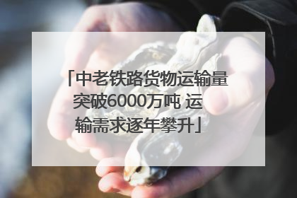 中老铁路货物运输量突破6000万吨 运输需求逐年攀升