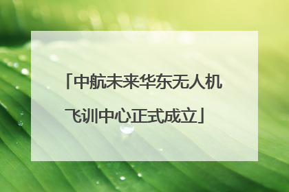 中航未来华东无人机飞训中心正式成立