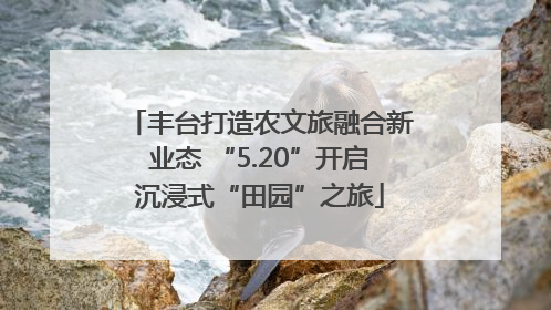 丰台打造农文旅融合新业态 “5.20”开启沉浸式“田园”之旅