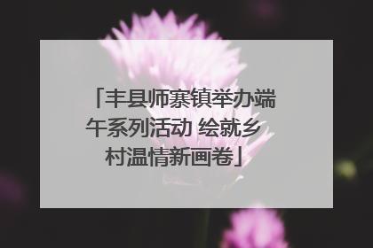 丰县师寨镇举办端午系列活动 绘就乡村温情新画卷