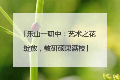 乐山一职中：艺术之花绽放，教研硕果满枝