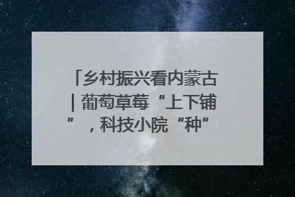 乡村振兴看内蒙古｜葡萄草莓“上下铺”，科技小院“种”出三倍效益