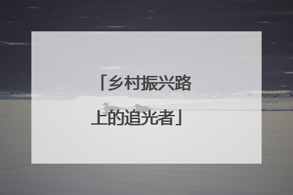 乡村振兴路上的追光者