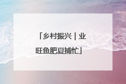 乡村振兴｜业旺鱼肥夏捕忙