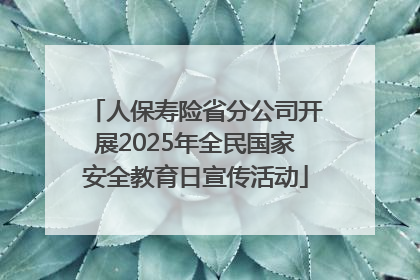 人保寿险省分公司开展2025年全民国家安全教育日宣传活动