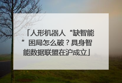 人形机器人“缺智能”困局怎么破？具身智能数据联盟在沪成立