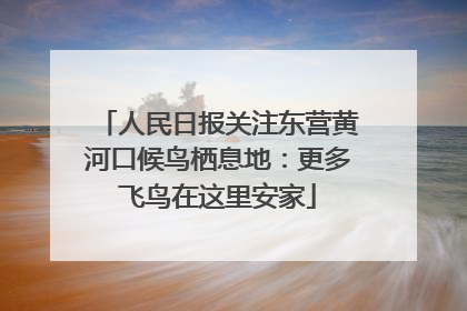 人民日报关注东营黄河口候鸟栖息地：更多飞鸟在这里安家